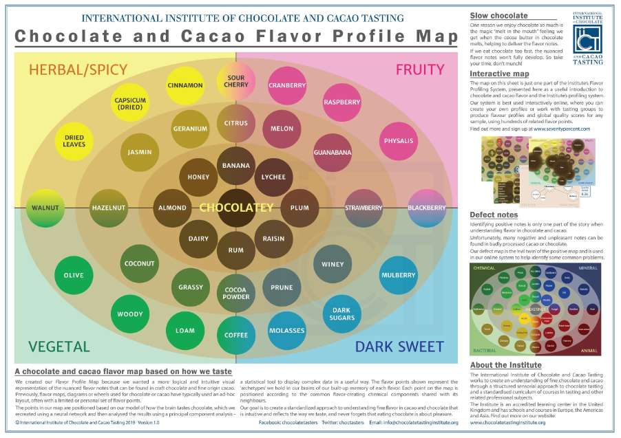 スペシャルティカカオとは？ スペシャルティコーヒーから学ぶ「産地の個性」を活かすビジネス哲学