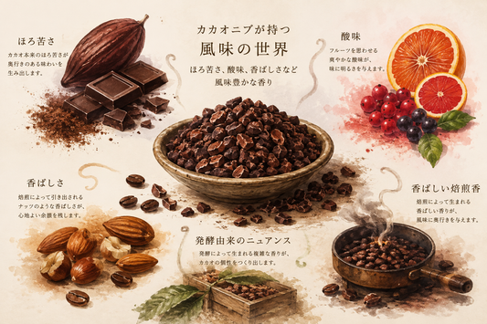 チョコレートは原料で変わる。カカオニブから始める商品開発
