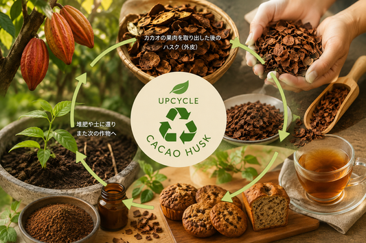 カカオハスクとは？捨てられてきたカカオの皮をお茶として楽しむアップサイクル｜チョコレート原料の卸を選ぶ新しい視点