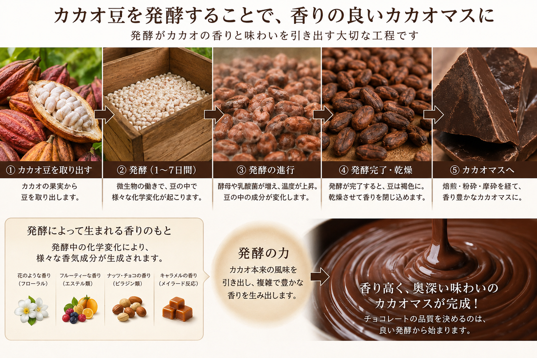 カカオ産地の「発酵」にこだわる理由とは？風味や香りの良いカカオマスで味わいの良いチョコレート菓子を作るメリット