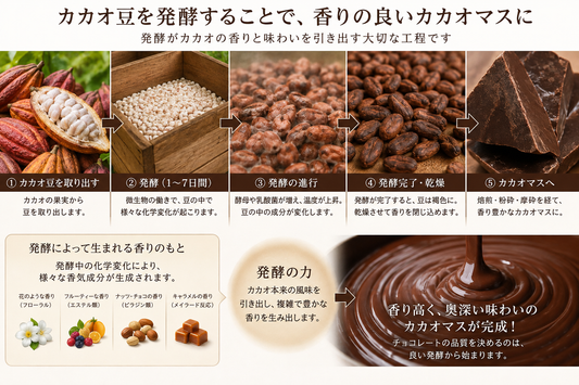カカオ産地の「発酵」にこだわる理由とは？風味や香りの良いカカオマスで味わいの良いチョコレート菓子を作るメリット