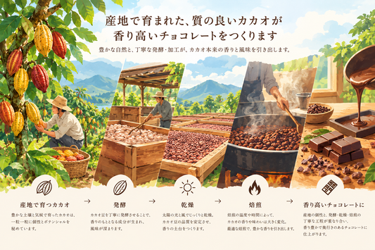 チョコレートの高級原料、その香りを生むカカオ発酵